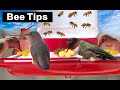 $1 for BEST HUMMINGBIRD Feeder Bee Proof Guard Tips-1000 Flock Daily for DIY Recipe Nectar in Window