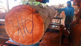 KAYU MERANTI KUALITAS EKSPOR!! proses penggergajian kayu Meranti merah buat bahan 4x10