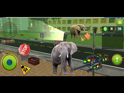 Chhota Hathi raja - elephant cartoon game - Hathi games - hathi wala cartoon  - YouTube