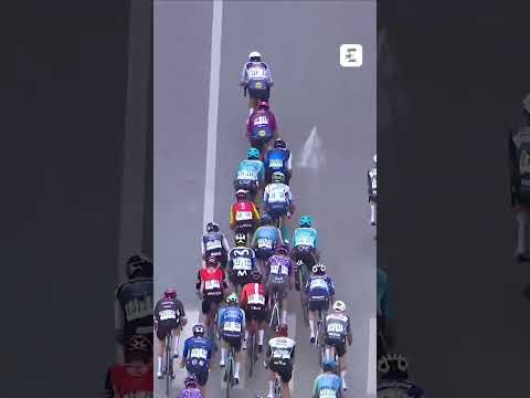🚴‍♂️Le nouveau sprint en puissance de Mads Pedersen qui retrouve son maillot rose #shorts #cyclisme