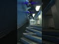 Free-for-all Shenanigans with my Sister #siblings #funny #gamergirl #funnycodclips #gamer #codclips