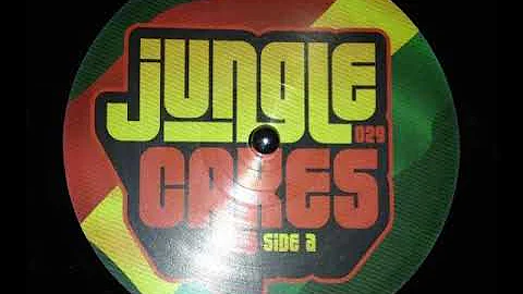 Ed Solo & Barrington Levy - Here I Come