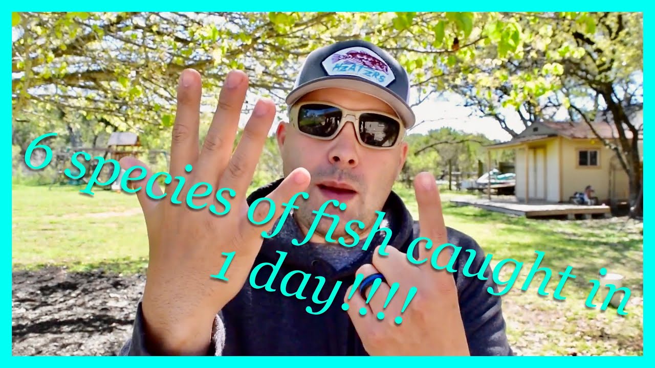 Caught 6 species of fish in one day!! (Springtime spawn Bass fishing)