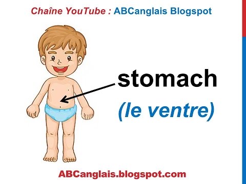 Cours d'anglais 18 - Les parties du corps en anglais Body parts Vocabulaire