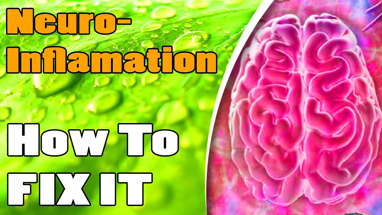 NeuroInflammation Epidemic and How To Fix It azWHOLEistic YouTube
