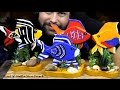 Make your own angelfish decor - DIY woodcraft project Make your own angelfish decor - DIY woodcraft project