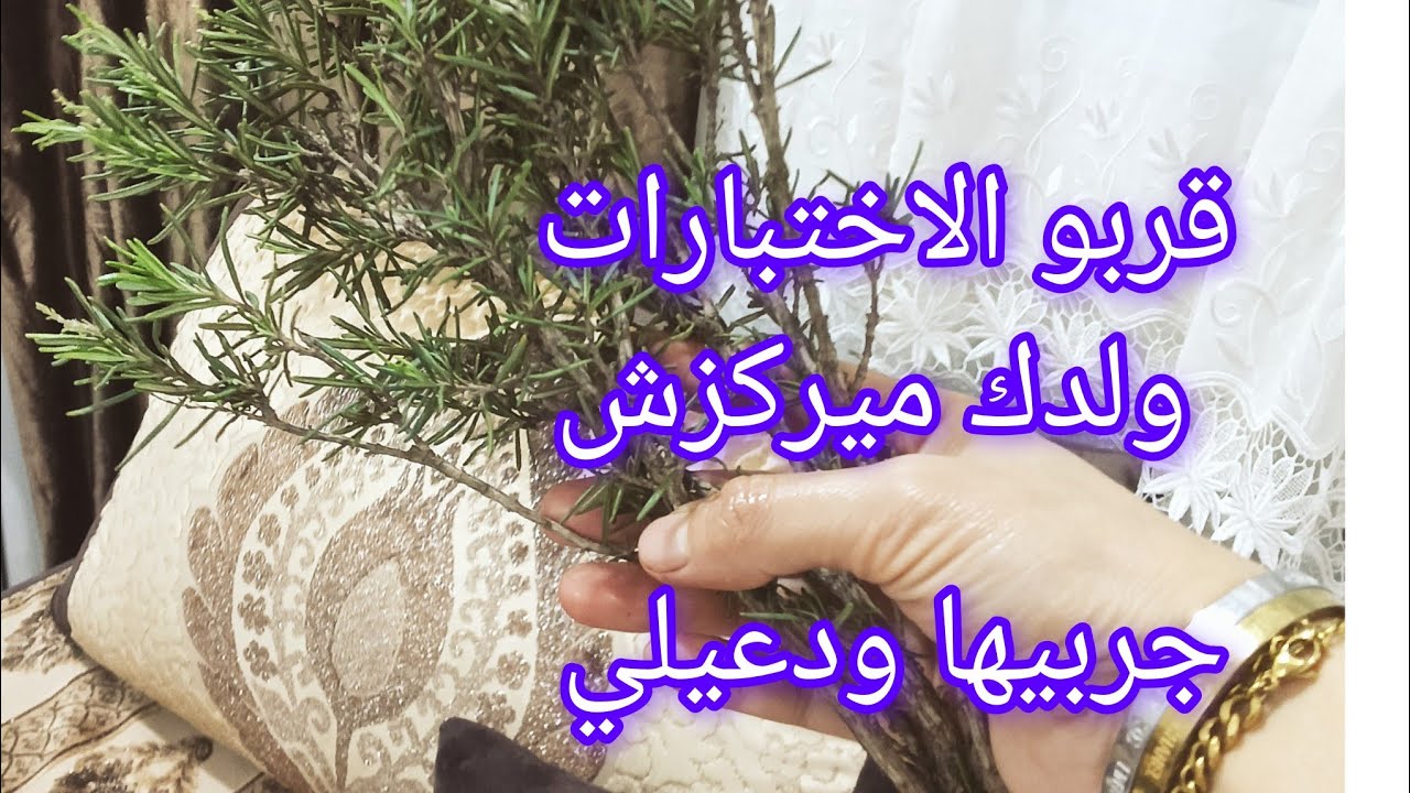  اقوى وصفة طبيعية للتركيز عند الاطفال الاختبارا قربو ولدك ينسى وميركزش جربيهالو ورديلي خبر