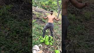 Trabajo de campo