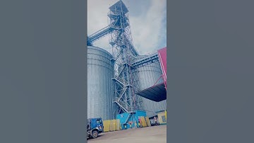 Inside a Giant Grain Silo – Industrial Storage in Action 🚛”