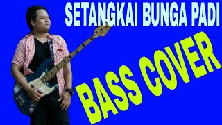 SETANGKAI BUNGA PADI ( cover bass ) belajar impruf