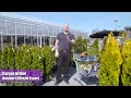 TERRA Presents Carson Arthur - 3 Rules of 3 for Garden Design TERRA Presents Carson Arthur - 3 Rules of 3 for Garden Design