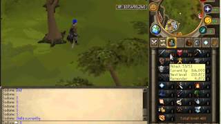 Runescape Quitting