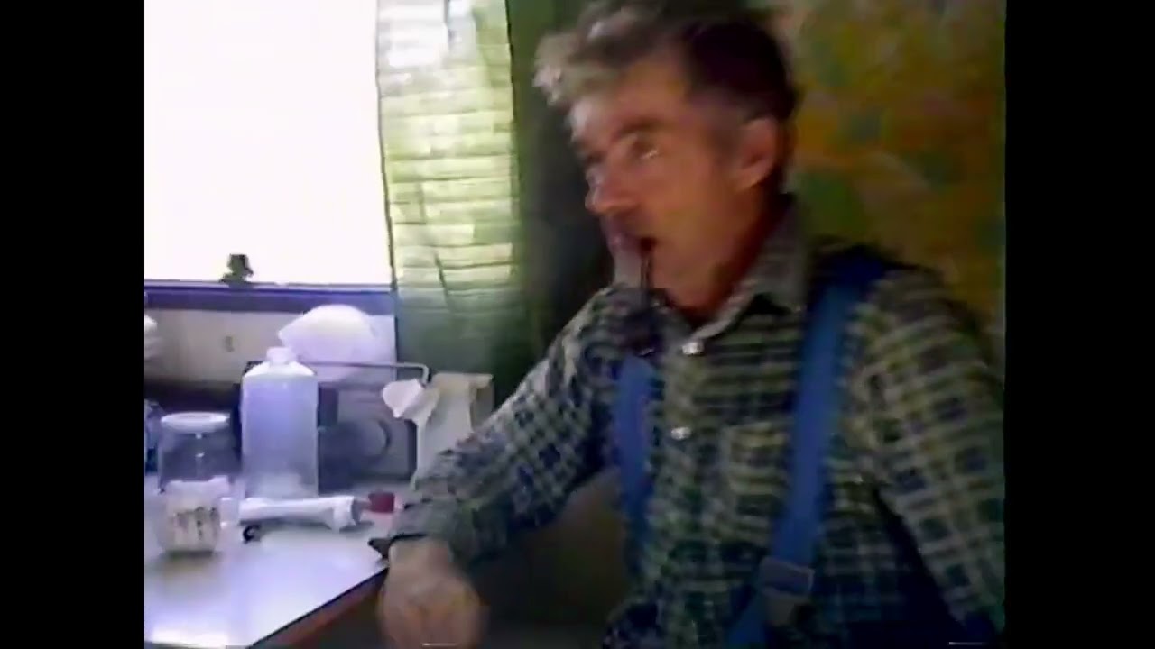 Glimtar ur skogen  - Manuell avverkning 1990