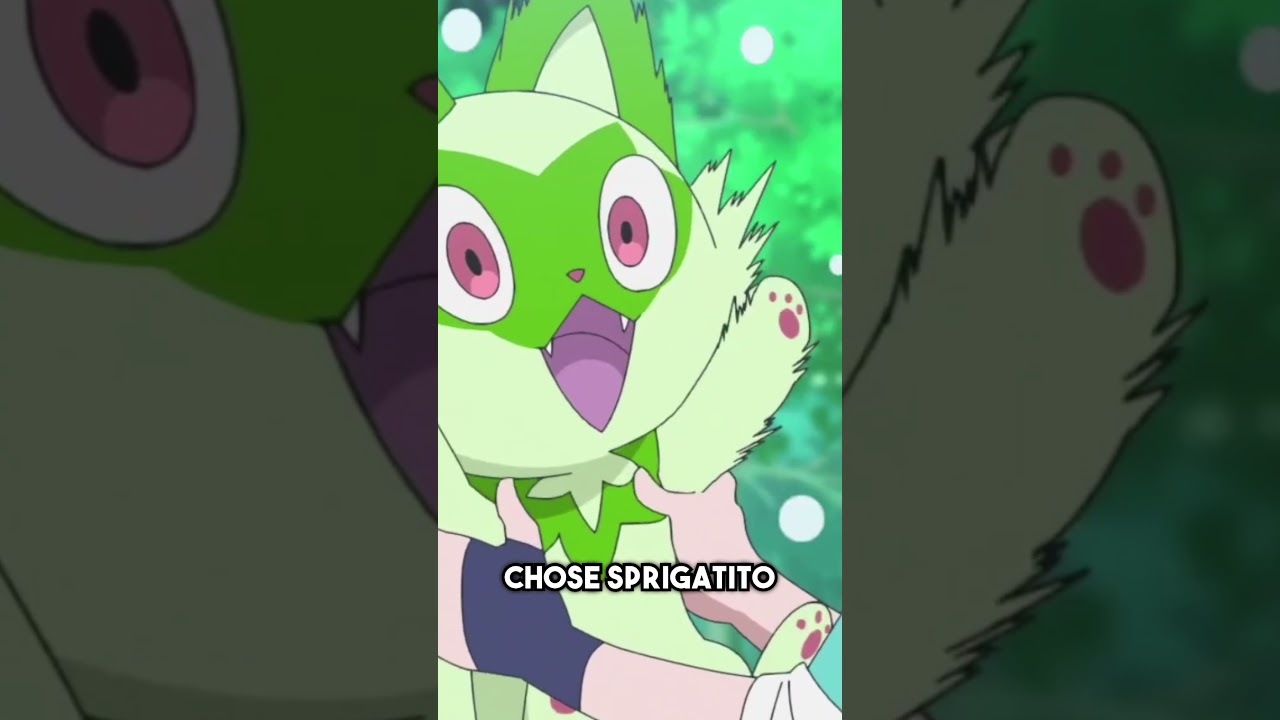 Grass Type Starter Pokemon Need LOVE