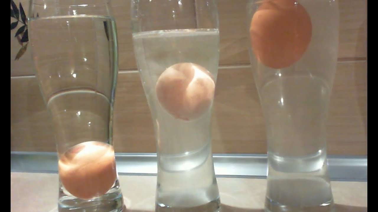 Eggs & Salt Water - float an egg in the middle of salt water - HD - YouTube