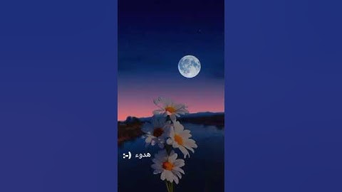 فدعا ربه انى مغلوب فانتصر اسلام صبحي تلاوة خاشعة ومؤثرة قران كريم 🤍🍁🕊️