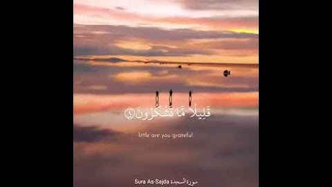 حالات واتساب تلاوة رائعة للقارئ إسلام صبحي من سورة السجدة