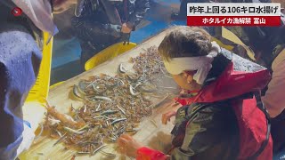 【速報】昨年上回る106キロ水揚げ ホタルイカ漁解禁、富山