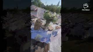 Ekol Müzik Organizasyon Resimi