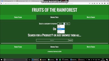 CSY 2028 - Web Programming Assignment 1 Video