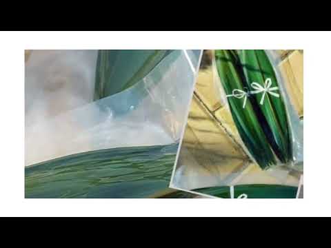 Листя бамбука 100 листів, видео 1