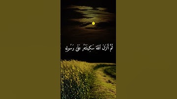 ماهر المعيقلي ايه ولقد نصركم الله في مواطن كثيرة (سوره التوبه)