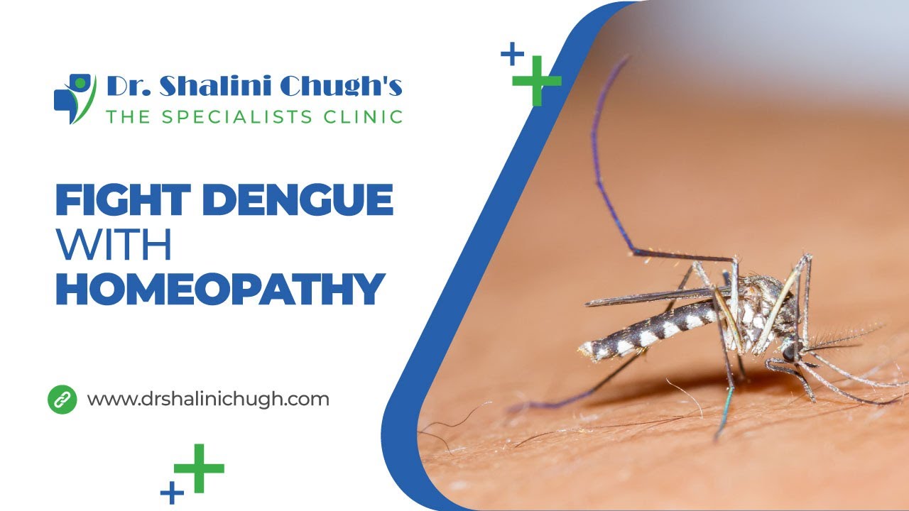 All About Dengue Homeopathic Doctor In Gurgaon Dr Shalini Chugh 