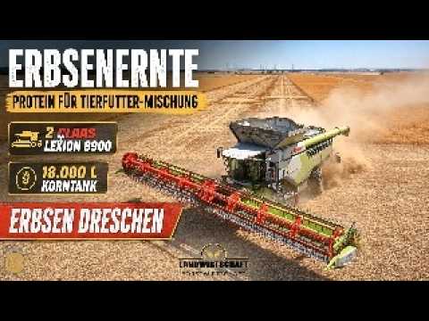 Erbsenernte Protein für Tierfutter Mischung 2 Claas Lexion 8900 u. 18.000L Korntank Erbsen Dreschen