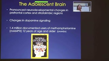 Ameliorating methamphetamine-induced cognitive impairment: Alicia Izquierdo, PhD