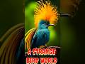 Such a Bird park that Even Heaven fails. #birds