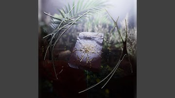 Split (Tassilo Vanhöfen Remix)