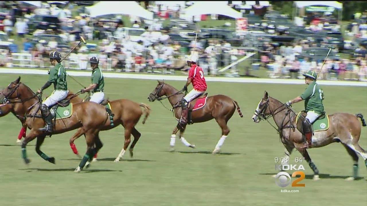 Annual Family House Polo Coming Up At Hartwood Acres YouTube