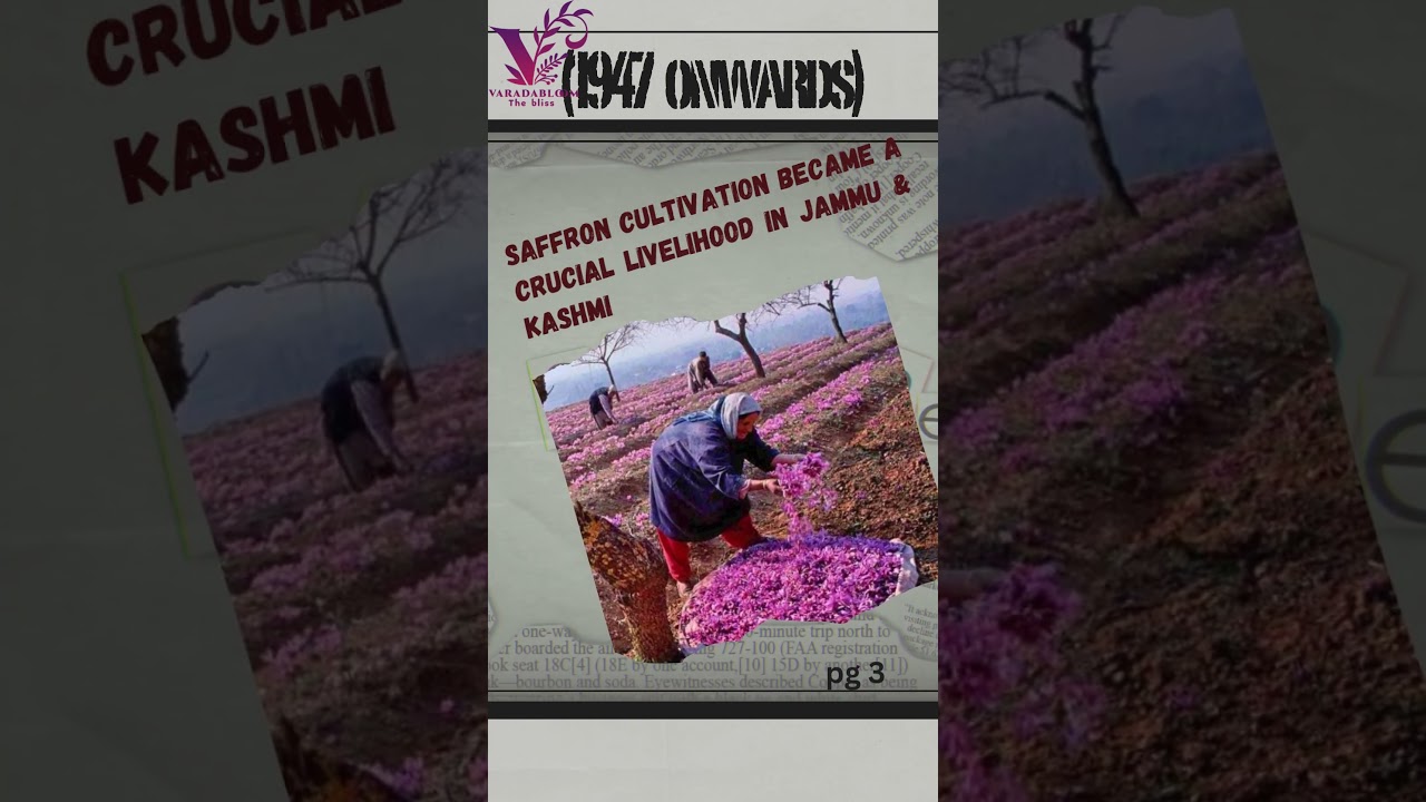 Saffron through the Ages  