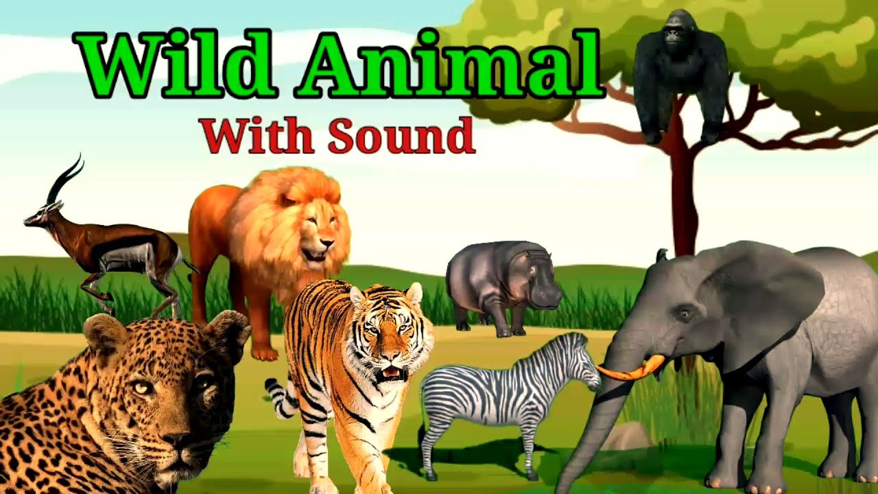 Wild Animal , Wild Animal sound, Wild animal name and their sound, with ...