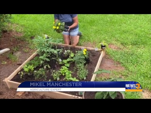 Gardening can help