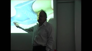 John Frazer Accelerating Architecture: Day 3  The Building