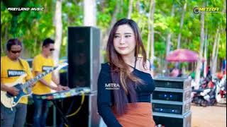 PAEYLAND MUSIC - RANA DUKA - EVIS RENATA - PERNIKAHAN DIAN & HANDY - HD AUDIO