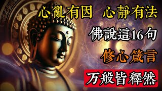 心亂有因，心靜有法！佛說這16句修心箴言，瞬間照見本心，萬般皆釋然#佛學 #禪宗 #佛教哲學 #佛教經典