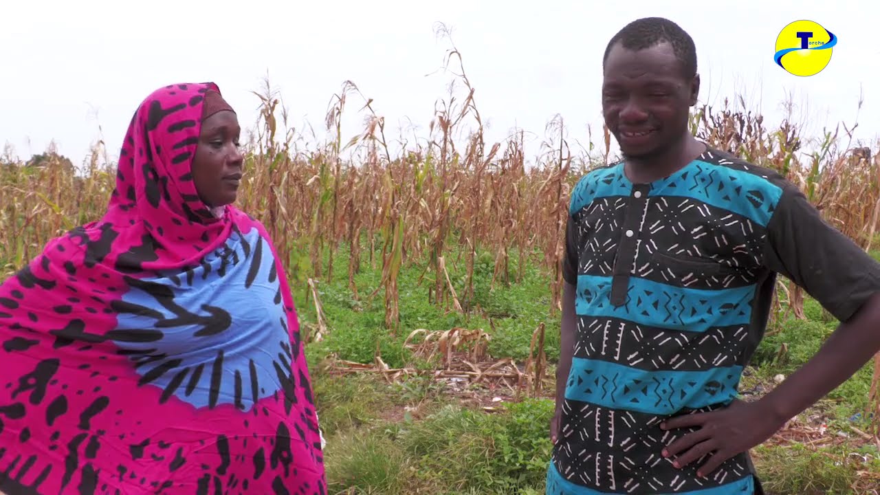 les nouveaux séries de sira kôrô EP5