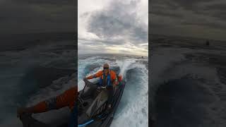 Isla de Mona - Danza Marina