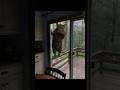 How to get hantavirus