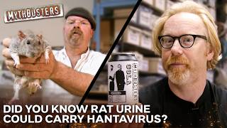 Is There Really Rat Urine On The Top Of Your Soda Can | MythBusters
