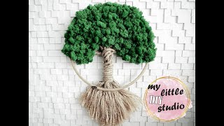 Drzewo z mchu/Tree made of moss/DIY