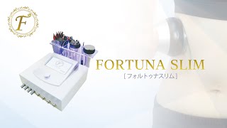 【美ガーデンセルフ】Fortuna Slim