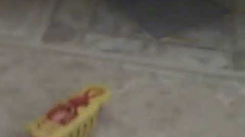 47 hexbug nano swarm