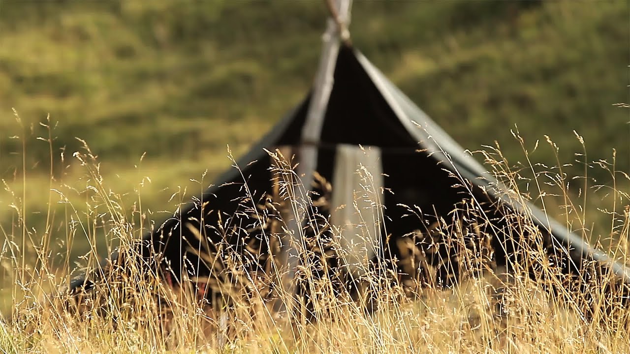 GAVAROT di Carlo Limonta