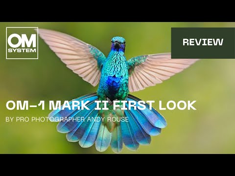 OM SYSTEM OM-1 Mark II first look with pro wildlife photographer Andy Rouse