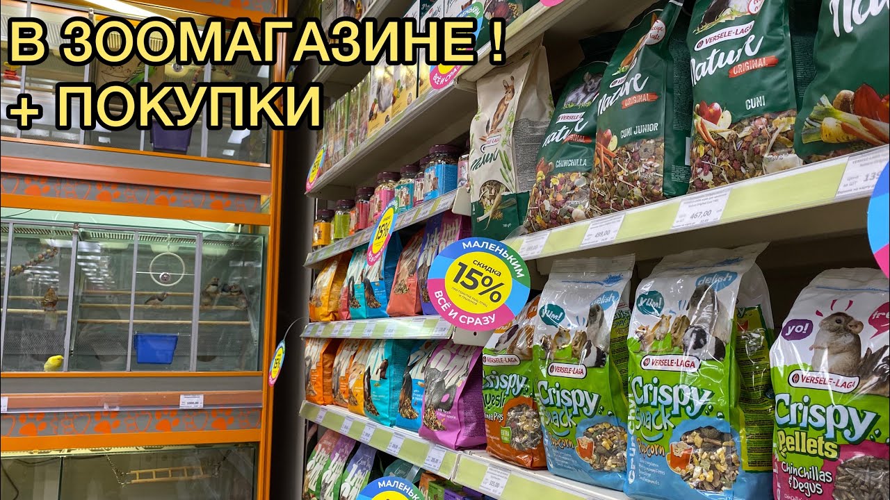 зоомагазин товары для животных. покупатель в зоомагазине. видео зоомагазина. бетховен зоомагазин. зоомагазин.