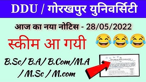 DDU Today notice @paperhacker