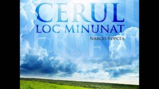 Video thumbnail of "Narcis Topcea-In aceasta lume"